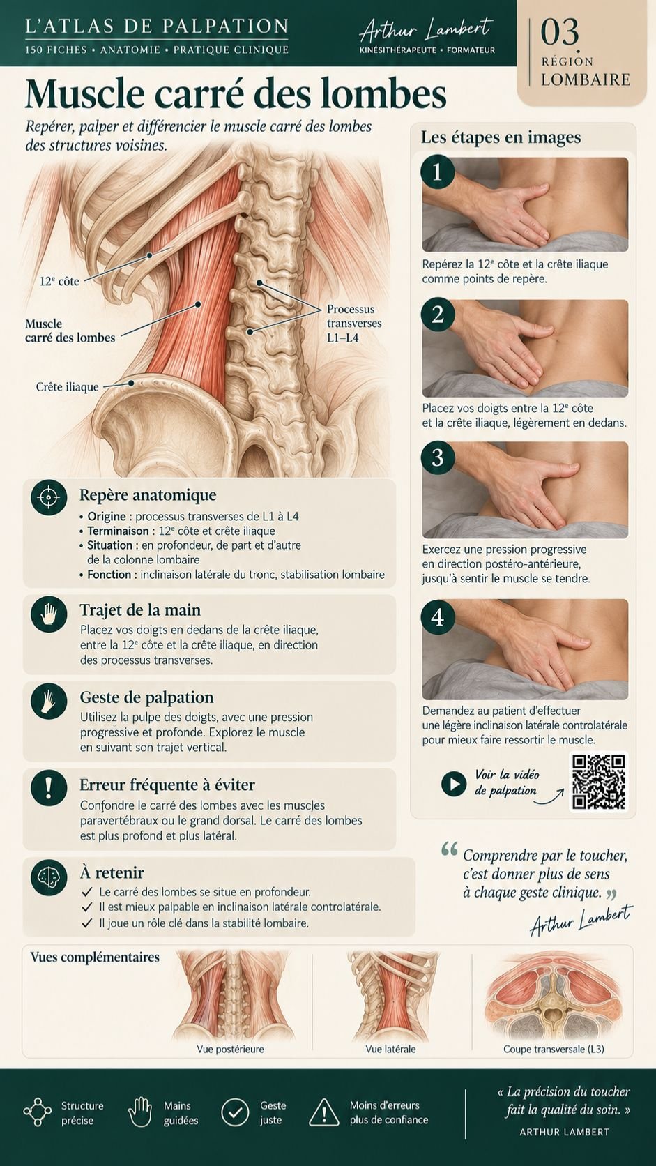 Fiche de palpation anatomique 3